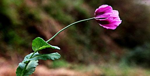 《最终幻想7：重制版》蒂法8K高清材质包 更美了！